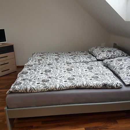 Apartman V Aleji Slavkov u Brna Εξωτερικό φωτογραφία